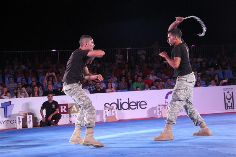 Martial Arts Festival